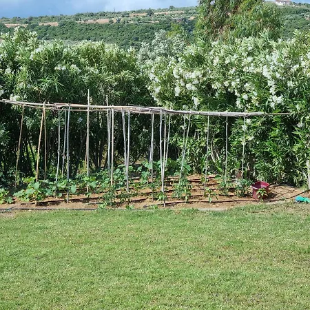 Friends And Family House Petalídhion